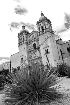 Iglesia De Santo Domingo, Oaxaca, Oaxaca, Mexico