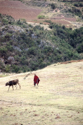 On the road from Cuzco to Puno, Peru