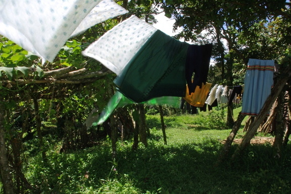 In the Grounds of Hacienda La Esperanza, Boquete, Chiriquí Province, Panama