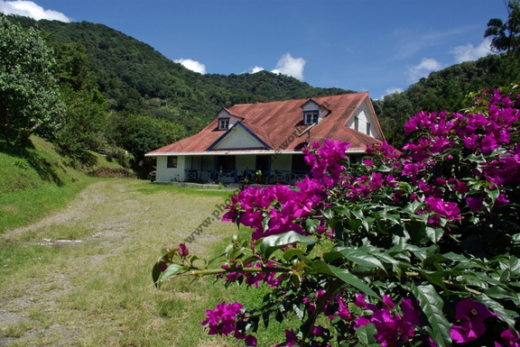 In the Grounds of Hacienda La Esperanza, Boquete, Chiriquí Province, Panama