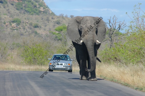 Near Kruger National Park